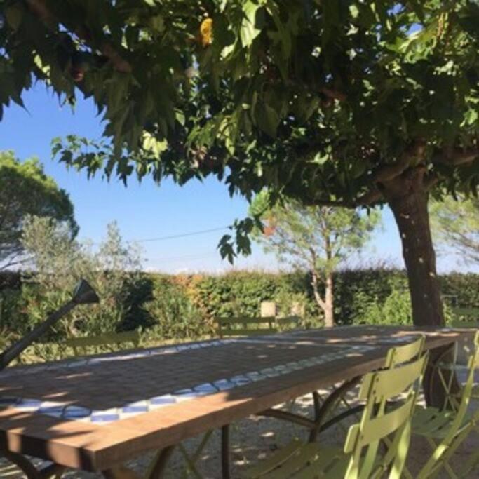 La Maison Des Vendangeurs Canet-en-Roussillon Exterior foto