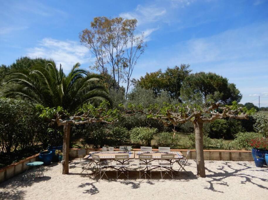 La Maison Des Vendangeurs Canet-en-Roussillon Exterior foto